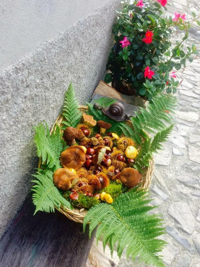 Holiday Home Liliana Faggeto Lario İtalya